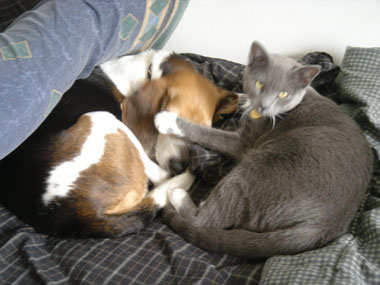 Lola and Rocco