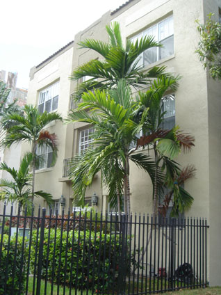 New Home: Side