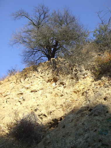 BeachwoodCanyon