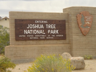 Joshua Tree Sign